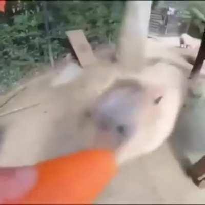 :D