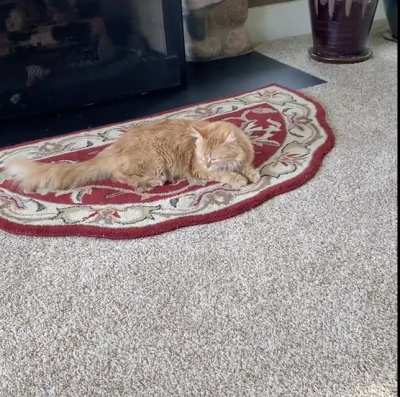 dude couldn&rsquo;t handle the heat!