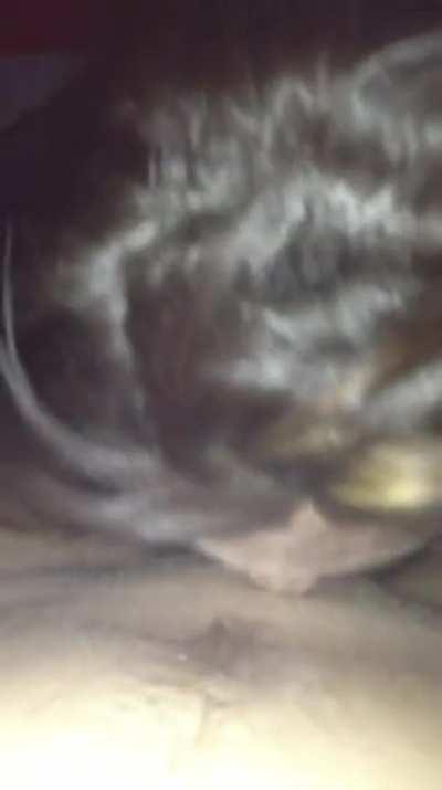 Blowjob Master