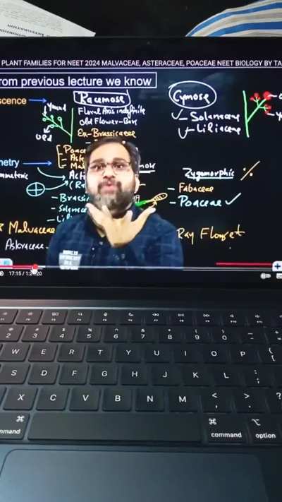 Very serious cheatcode for 3 months😔