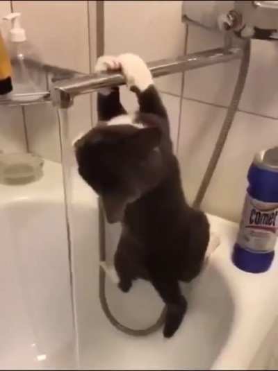 Drinking consequences