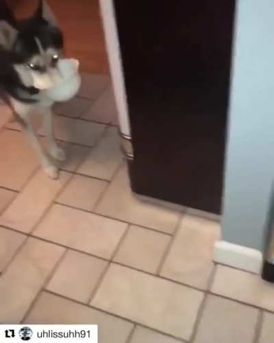 Malicious compliance