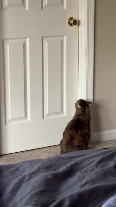 She&rsquo;s learned that tearing up the door frame is a guaranteed way to get attention from us when she&rsquo;s hungry.