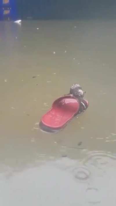 Titanic II