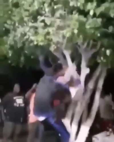 Mano...