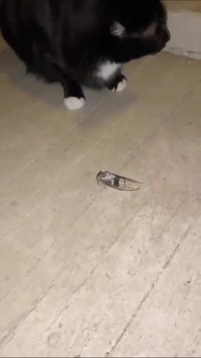 Just a touch