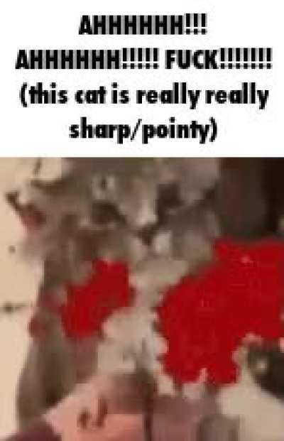 ssjgsvkx jfxftr &ldquo;ow fuck&rdquo; aiycjcsdgfggg