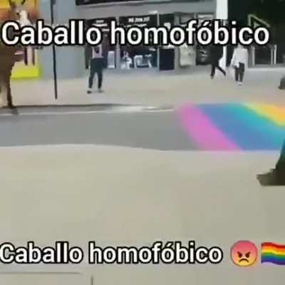 Caballo😡🏳️&zwj;🌈