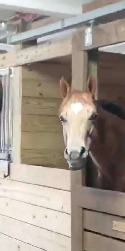 What's wrong with that face?