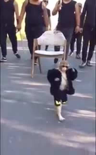 Ben kölelerle gitmek kılsız p*çi dövmeye