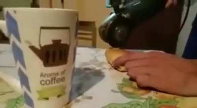 P&atilde;o fofo