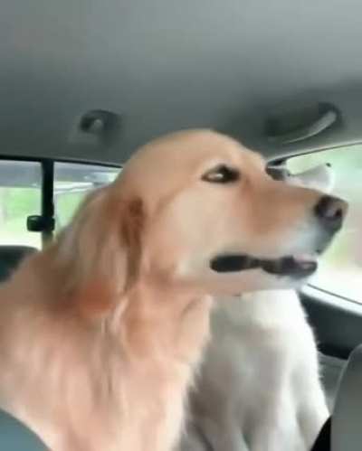 Are we there yet?