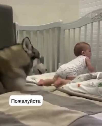 Tay_5 - Video #1260