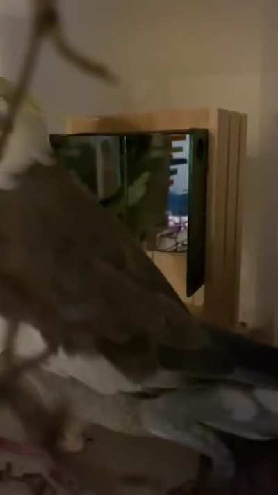 I made my Plumpus a little audition hall
