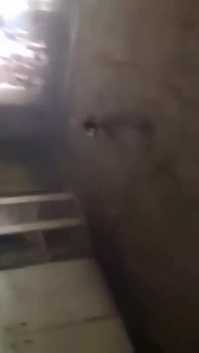 R&eacute;gis est devenu russe (allez &agrave; 1:50 pour le voir)