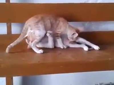 [NSFW] why r u watching this?