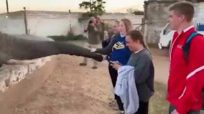 Found this on r/unexpected , thought it belongs here as well