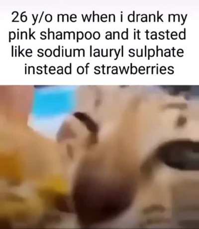 djbsskfbjz1&rsquo;bekjsbx xjskan!:!3&amp;amp;;skdixns