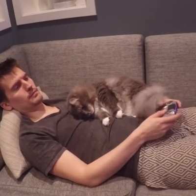 It hurts that he hasn't pet the cat