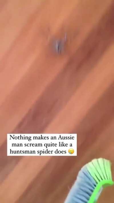 Looks like that spider really got the drop on him!