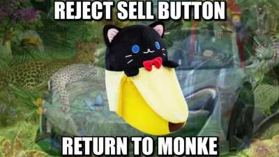 🐈🧠🙀 Stonkey Kong&rsquo;s DFV/RC GME Tweet Compendium 🤯💎🙌🏼 HAPPY SUNDAY 🦍🚀🚀🚀