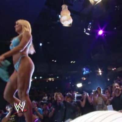 Torrie Wilson