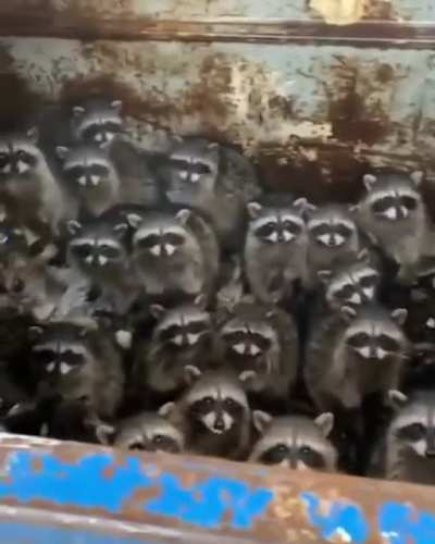 Secret meeting
