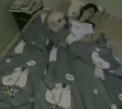 sweet and caring dog tucks in his human