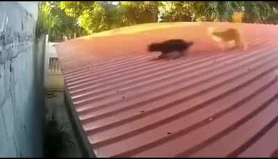 Out f**king skilled
