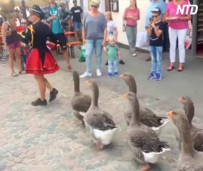 Yo our government even invaded Germany. We aren&rsquo;t safe anymore