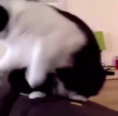a peculi- AHH
