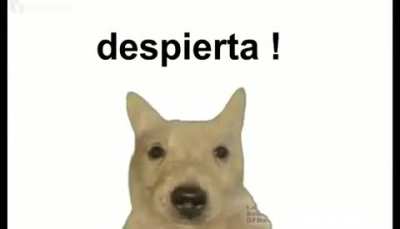 PAPU