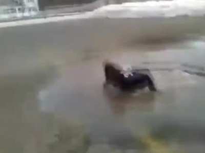 Jumping in a puddle