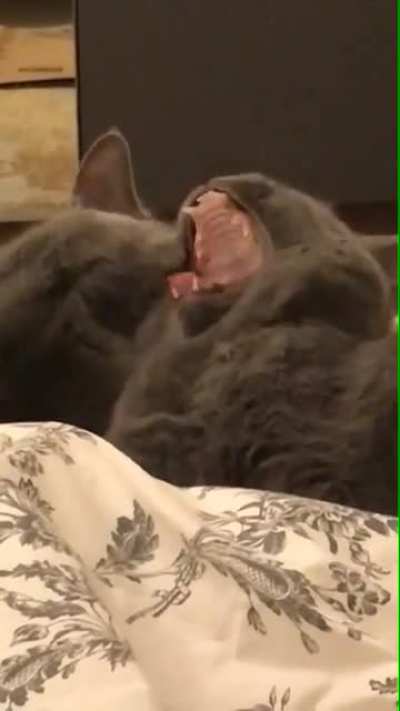Maybe maybe maybe