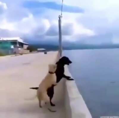 Let&rsquo;s jump in to the water