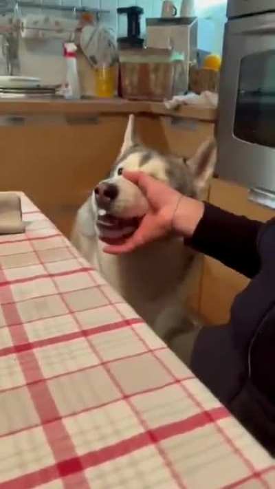 aaaah-