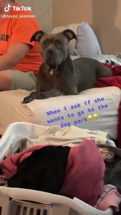 Want to go to the dog park?