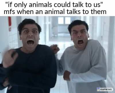 when the