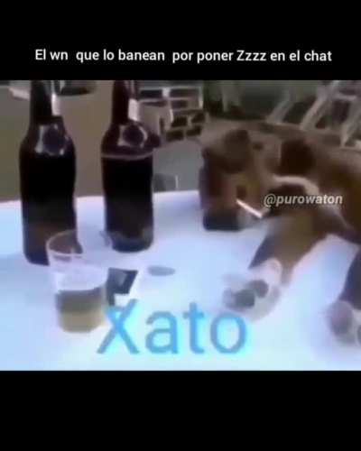 Zzzz