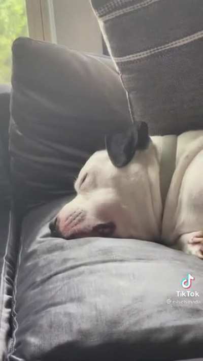 Comical snoring