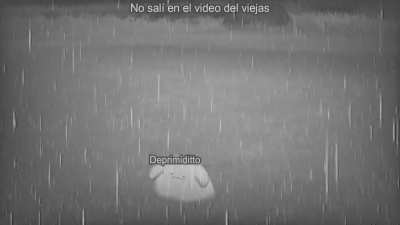 Me aprendi la cancion en harmonica para que no salte copy, y no me volv&iacute; miembro del canal, admin&acute;t triste