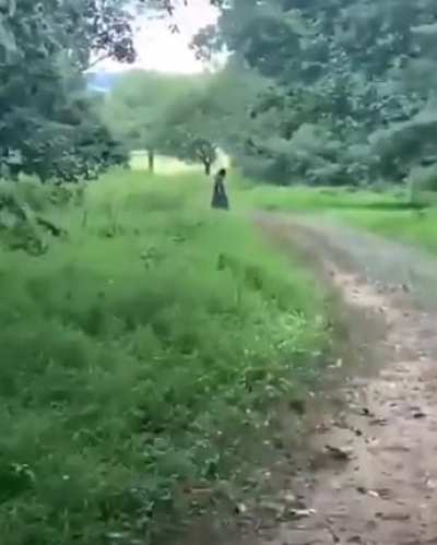 Nature