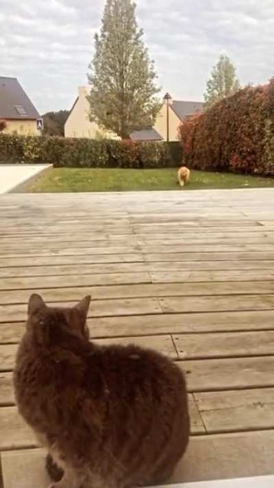 wait for it.