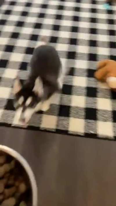 He&rsquo;s excited for breakfast