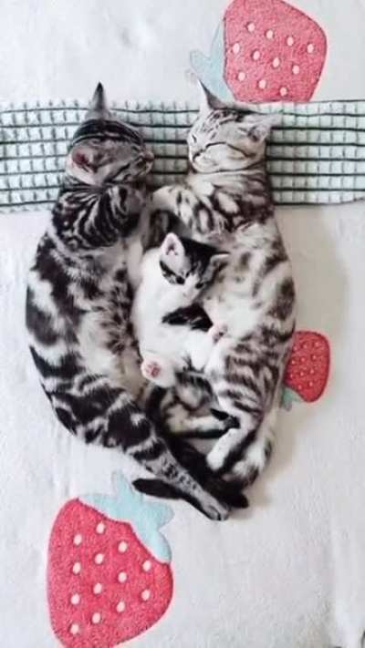 &ldquo;Mom&hellip;dad&hellip;Can I sleep with you?&rdquo;