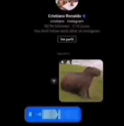 kkkkkk