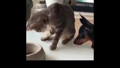 i gives some snacks