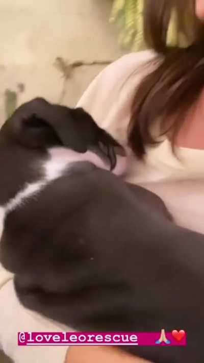 We&rsquo;ve passed 9000 members. Here&rsquo;s Victoria cuddling a puppy to celebrate