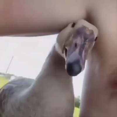 Unexpected
