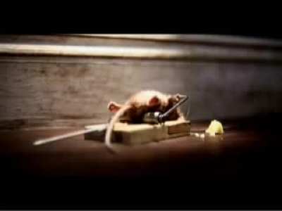 can't believe it's already been 10yrs the first time I saw this.